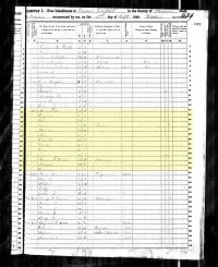 1850 Census Record Virginia, Fauquier County, Turners
