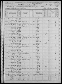 1870 Census Record Indiana, Randolph County, Nettle Creek