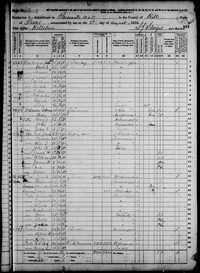 1870 Census Record Texas, Hill County 