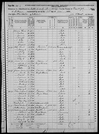 1870 Census Record Indiana, Randolph County, Nettle Creek