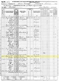 1870 Census Record Missouri, Saline County, Marshall