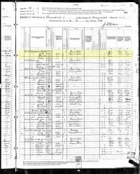1880 Census Record Texas, Nacodoches