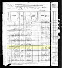 1880 Census Record Iowa, Ringgold County 