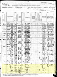 1880 Census Record Ohio, Hamilton County, Cincinnati (page 1 of 2)