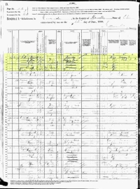 1880 Census Record Ohio, Cincinnati