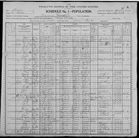 1900 Census Record Illinois, La Salle County