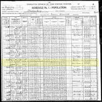 1900 Census Record Kentucky, Shelby County, Christianburg