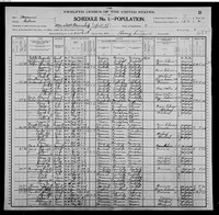 1900 Census Record Missouri, Saline County, Marshall