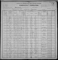 1900 Census Record Indiana, Grant County, Pleasant