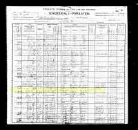 1900 Census Record Iowa, Ringgold County