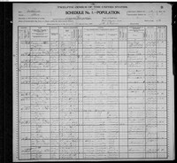 1900 Census Record Indiana, Allen County, Fort Wayne