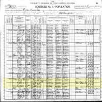 1900 Census Record Arkansas, Franklin County, Hogan Township