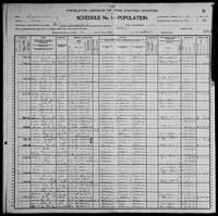 1900 Census Record Alabama, Coosa County, Mt Olive