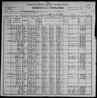 1900 Census Record Alabama, Clay County, Pickneyville