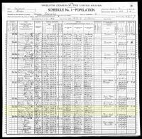 1900 Census Record Missouri, Saline County