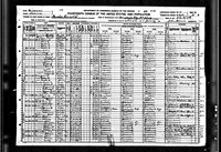 1920 Census Record Missouri, Saline County