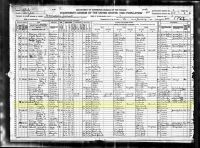 1920 Census Record Idaho, Owyhee, Homedale Precinct