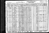 1930 Record Missouri, Saline County, Nelson