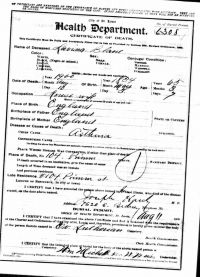 1900 Death Record Missouri, St. Louis