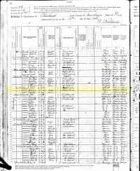 1880 Census Record Ohio, Cleveland