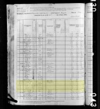 1880 Census Record Texas, Coryell County 