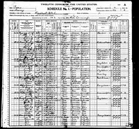 1900 Census Record Texas