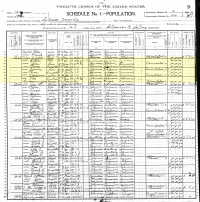 1900 Census Record Arkansas, Stone County