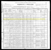 1900 Census Record Missouri, St. Louis