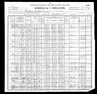 1900 Census Record Missouri, Chariton County, Salisbury