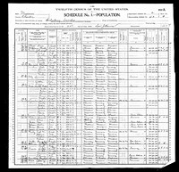 1900 Census Record Missouri, Chariton County, Salisbury