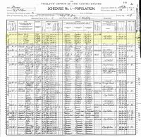 1900 Census Record Missouri, St. Louis (Page 2 of 2)
