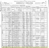 1900 Census Record  Missouri, St. Louis (Page 1 of 2)