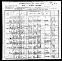 1900 Census Record Missouri, Chariton County, Salisbury