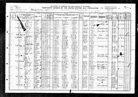 1910 Census Record Missouri, Chariton County, Salisbury