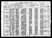1920 Census Record Missouri, Grant County, Williamstown
