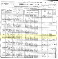 1900 Census Record Mississippi, Attala City