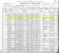 1900 Census Record Arkansas, Johnson County, Batson Township
