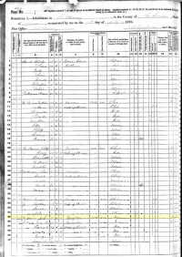 1870 Census Record Minnesota, La Sueur County, Kilkenny