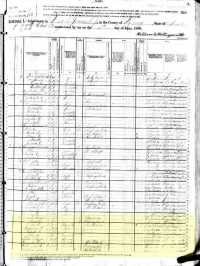 1880 Census Record Indiana, Knox County, Vigo