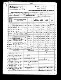 1890 Missouri Military Census Record Saline County
