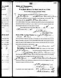 1869 Marriage Record Tennessee