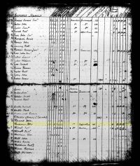 1795 Land Assessment Record, Bourbon County, Kentucky, Peter Vardeman on Coopers Run, 1792 thru 1795.