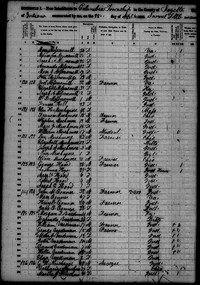 1850 Census Record Columbia, Fayette County, Indiana
