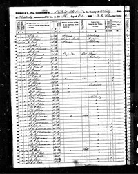 1850 Census Record Kentucky, Shelby County