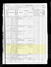 1870 Census Record Indiana, Warren County, Williamsport