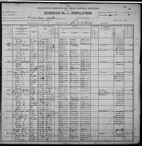 1900 Census Record Arkansas, Fulton County, Pleasant Ridge Township