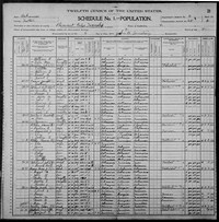 1900 Census Record Arkansas, Fulton County, Pleasant Ridge