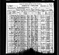 1900 Census Record Missouri, Saline County