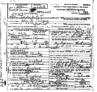 1930 Death Record Illinois, St. Clair County, Fairmont City (cancer-leukemia)