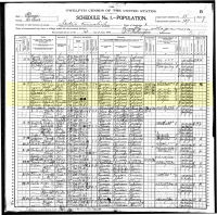 1900 Census Record Illinois, St. Clair County, Brooklyn Village